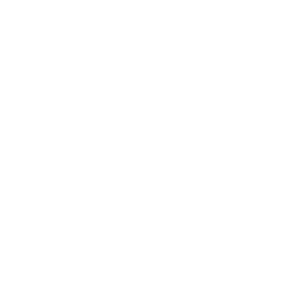 Camera icon for Photography logo