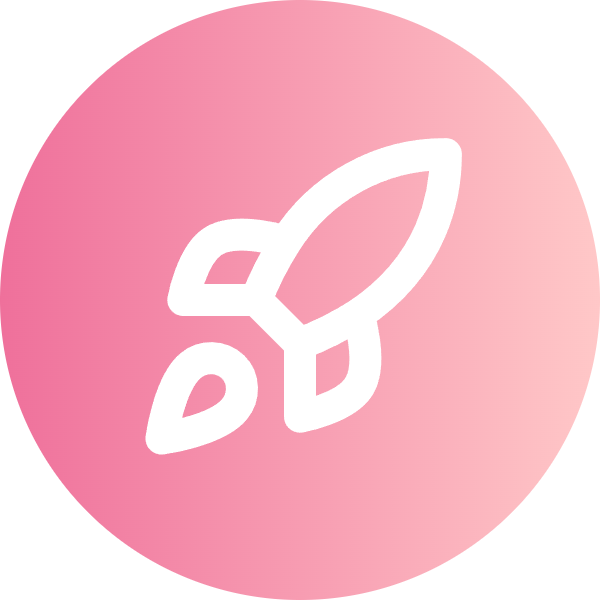 Rocket icon for SaaS logo