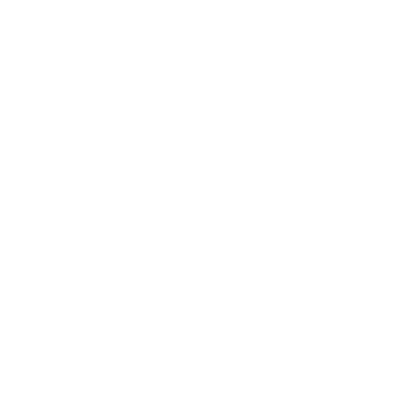 Sun icon for Ecommerce logo